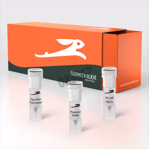 Taq dna polymerase recombinant 5u/µl 500 unités