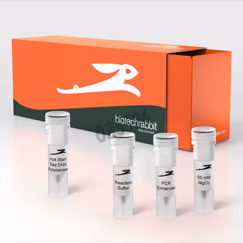 Hot start taq dna polymerase 5 u/µl 500 unités