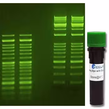 Smartglow loading dye with safe green stain 6x concentration 1 ml
