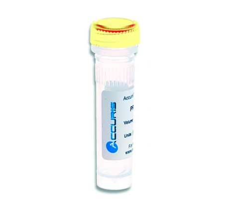 Adn polymerase haute fidelite accuris 2U/µl 200