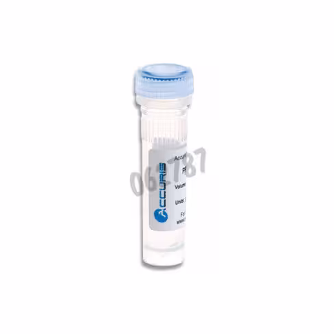 Taq adn polymerase accuris 5u/µl 500 unités