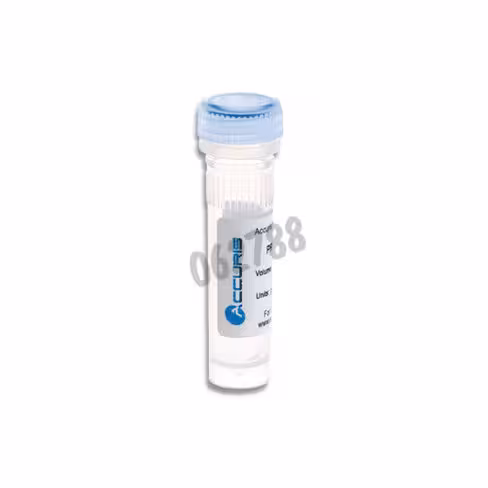 Taq adn polymerase accuris 5u/µl 1000 unités