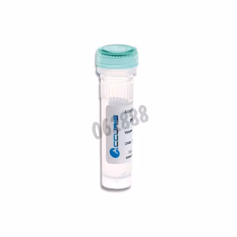 Mix qpcr accuris qmax green no rox 500 Réactions