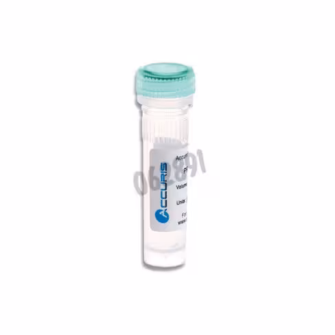 Mix qpcr accuris qmax green high rox 100 Réactions