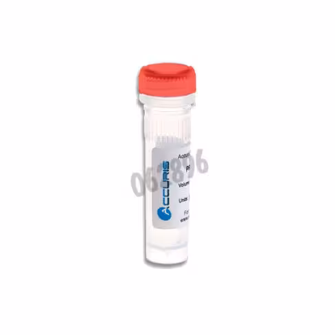 Mix qpcr accuris qmax probe no rox 500 Réactions