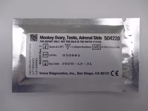 Mky Ovary Testis Adrenal Slide sur QUANTA-Lyser Ts 1 lame 4 puits