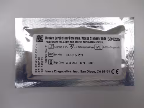 Mky Cerebel Cerebr Mouse Stomach sur QUANTA-Lyser Ts 1 lame 4 puits