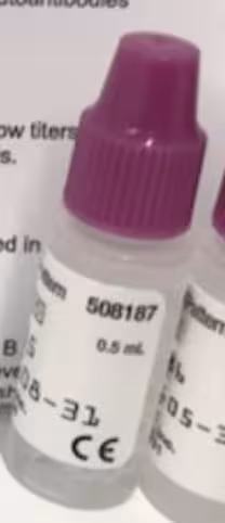 Mitochondrial (AMA) Pattern sur QUANTA-Lyser Ts automates 1 1 x 0,5 mL