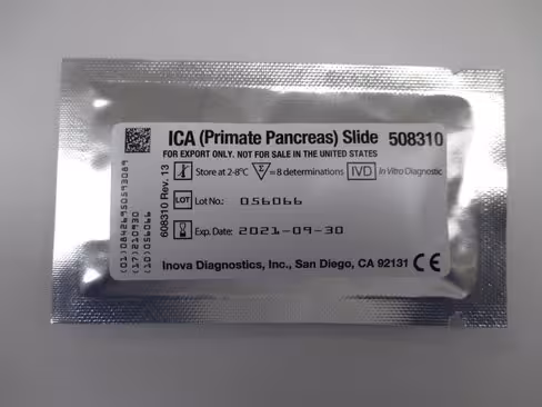 ICA Primate Pancreas Slide sur QUANTA-Lyser Ts automates IFA - 1 lame