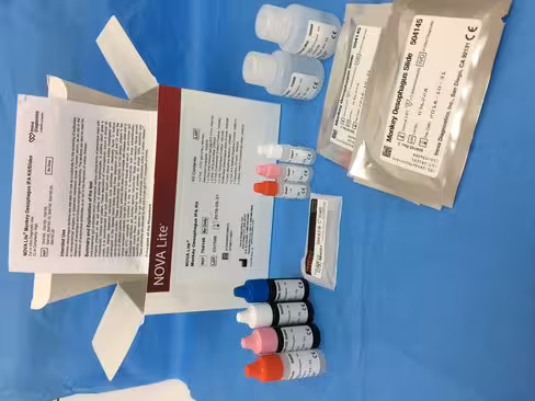 Monkey Esophagus (IgG IgA) sur QUANTA-Lyser Ts 1 Kit 50 puits