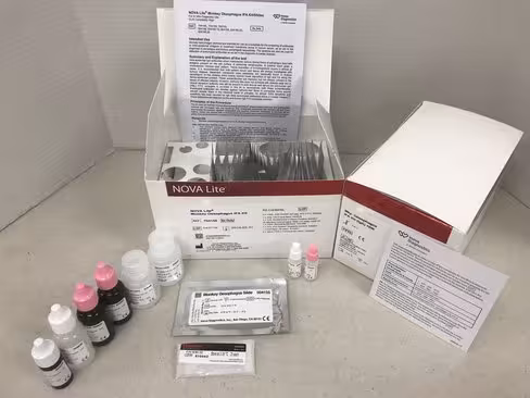 Monkey Esophagus IgA sur QUANTA-Lyser Ts automates IFA - 1 250 puits