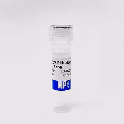 SARS-CoV-2 Nucleocapsid Protein His tag (E. c 1 mg