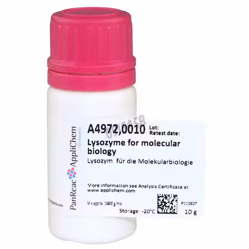 Lysozyme pour biologie moléculaire 10 g