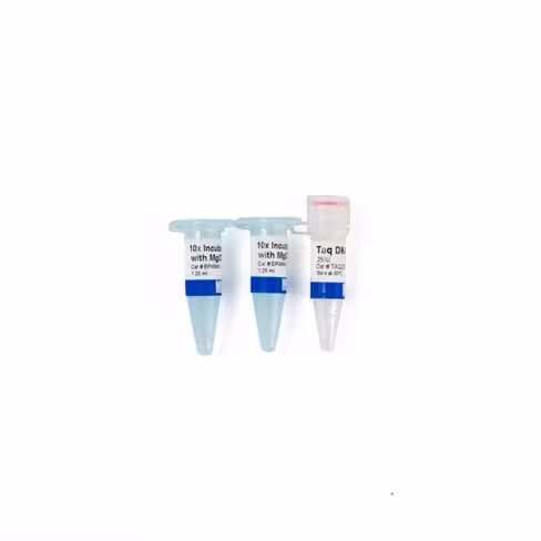 Taq DNA polymerase (5 U/µl) 250 unités