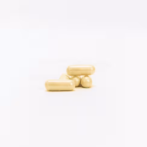 Terrific broth ii (capsules) 5 kg