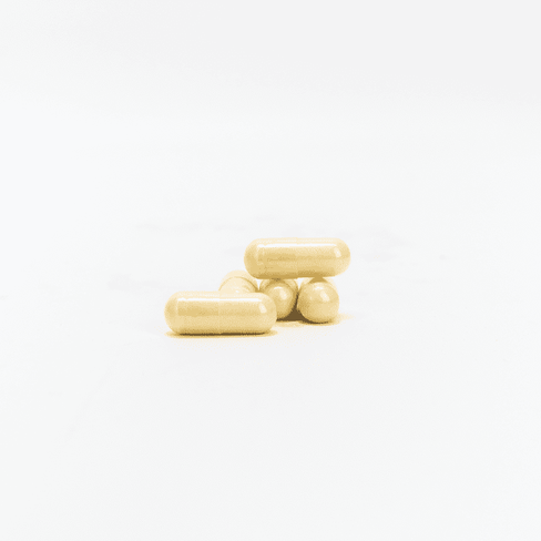 Terrific broth ii (capsules) 5 kg