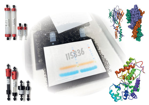 Kit bca protein assay macro 250 tests