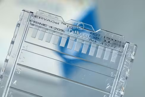 Tampon laemmli 10x pour sds-page 2 l