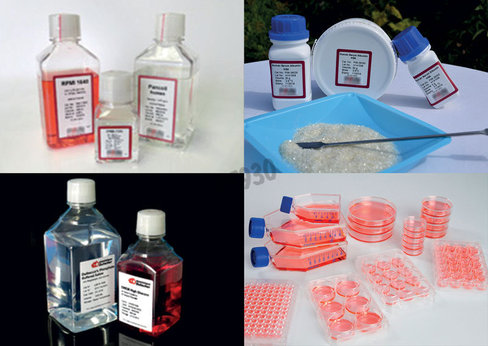 Digitonin soluble dans l eau grade recherche 250 mg