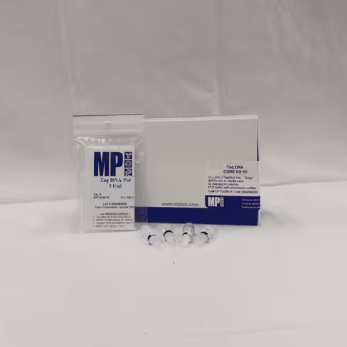 Taq CORE Kit (with (NH4)2 SO4 buffer) 10x250 unités