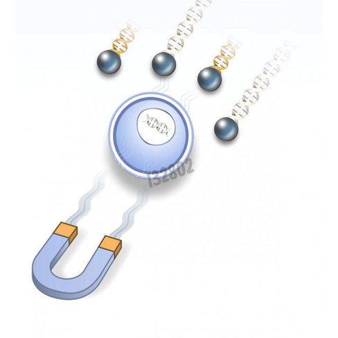 Réactif de transfection magnétiques polymag neo