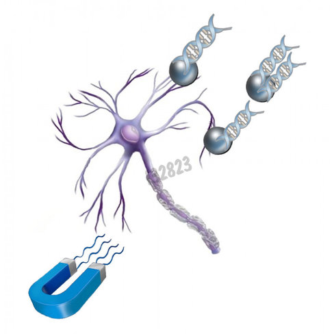Kit de transfection magnétique - neuromag 200µl, magnétique