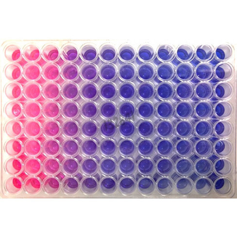 Kit de vérification de la viabilité cellulaire pour 2500 tests 1 kit