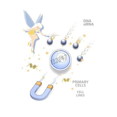 Réactif de transfection lipomag kit de démarrage 1 Kit