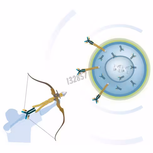 Réactif de transfection ab-deliverin 1000µl 1 Kit