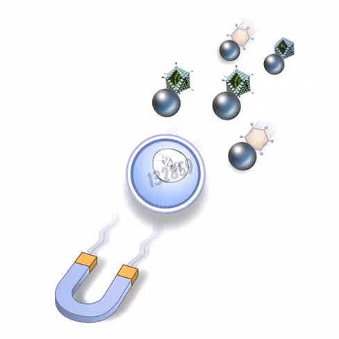 Réactif de transduction adenomag 100 µl 1 kit
