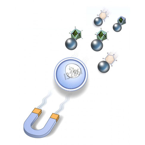Réactif de transduction adenomag 1 ml 1 kit