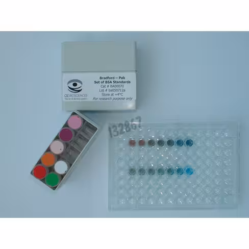 Kit de dosage des protéines bradford réactif + 2 kits bsa + 7 flacons 2 ml 1 Kit