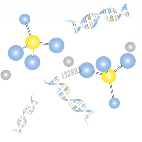 Kit de transfection capo 4x15ml 1 Kit