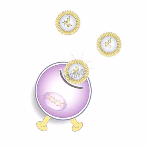 Réactif de transfection ecotransfect 500 µl 0,5 ml