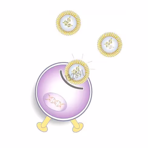 Réactif de transfection ecotransfect 1 ml