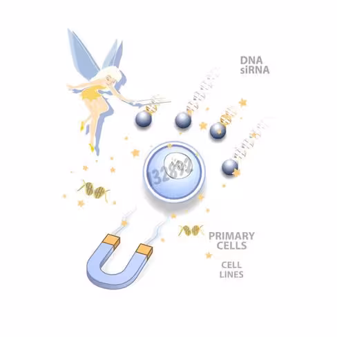 Réactif de transfection lipomag 500 µl 1 Kit