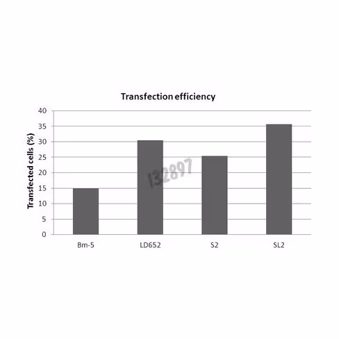 Réactif de transfection flyfectin 500 µl