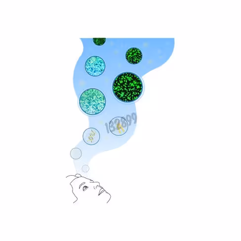 Réactif de transfection dreamfect 1 ml