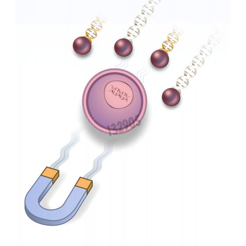 Réactif de transfection fluomag-s 100 µl