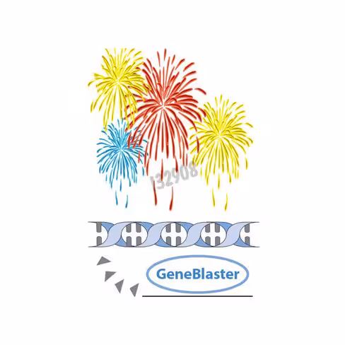 Geneblaster ruby transfection booster 1,5ml 3 pcs