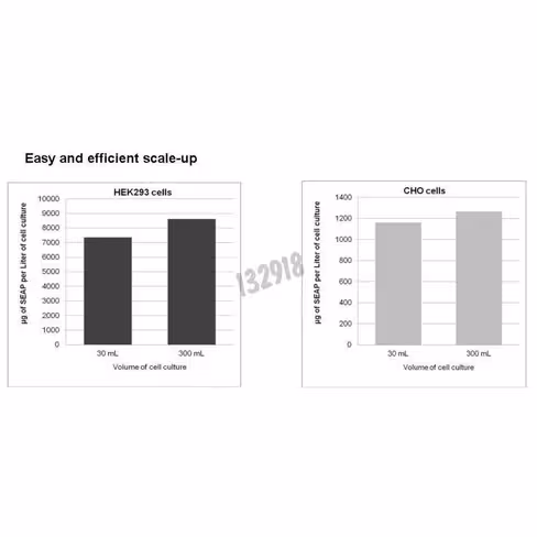 Réactif de transfection hype-5 1,5ml + hype-5 kit