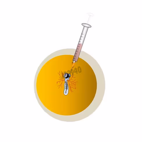 Réactif de transfection dogtormag in vivo 500 µl 1 Kit