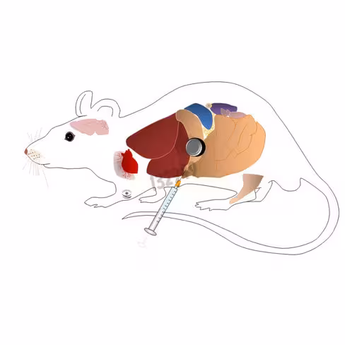 Réactif de transfection polymag in vivo 500 µl