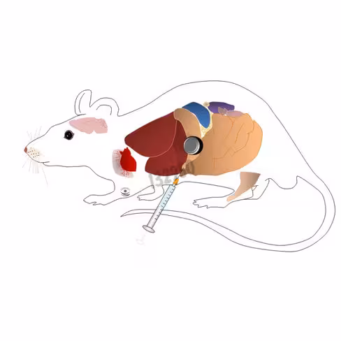 Réactif de transfection polymag in vivo 1 ml