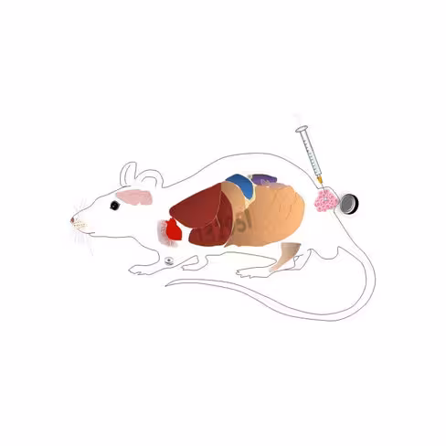 Réactif de transfection silencemag in vivo 500 µl