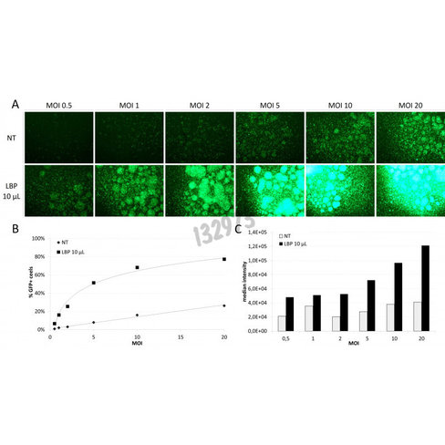 Lentiblast premium qualite superieure 5ml