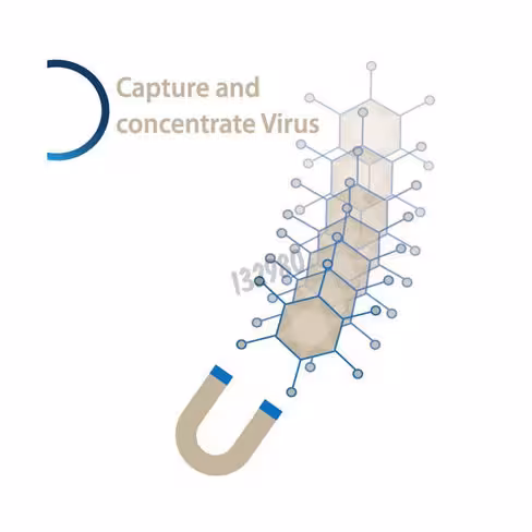 Kit mag4c lv 1 ml 1 Kit