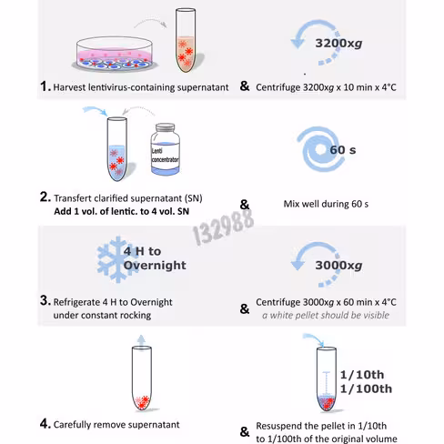 Concentrateur de lentivirus viro-peg 1 Kit