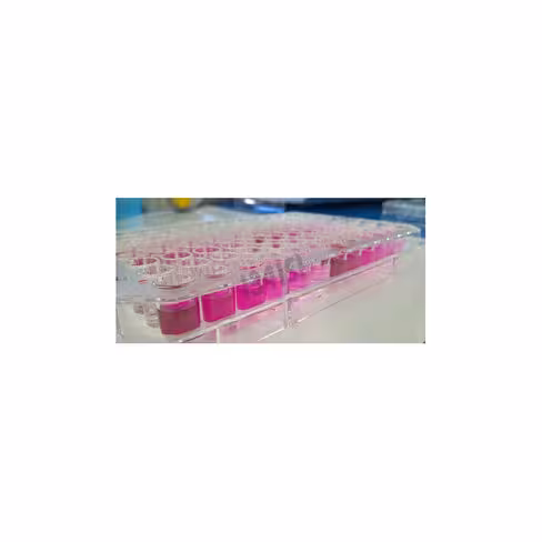 Kit de detection d oxyde nitrique 500 tests 1 Kit