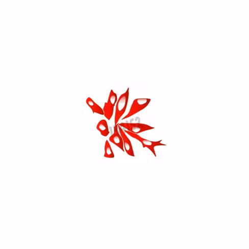 R-phycoerythrin 100 µl